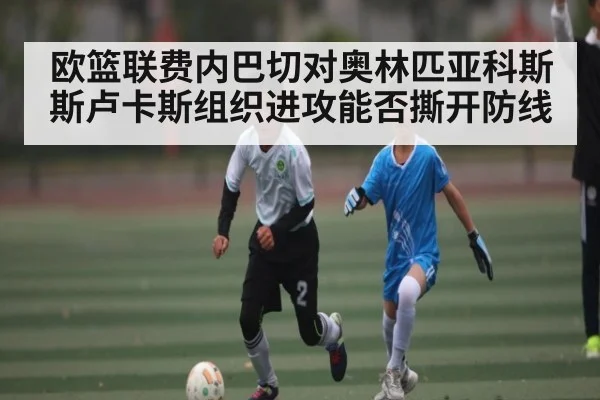 欧篮联费内巴切对奥林匹亚科斯斯卢卡斯组织进攻能否撕开防线