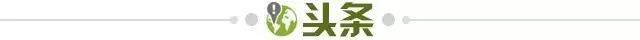 kaiyun-【早报】要多久才能看懂裁判？